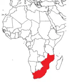Distribuição da Aloe arborescens, mapa da Africa mostrando realçado Africa do Sul, Malawi, Moçambique e Zimbabe.