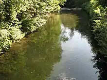 Amarante Canadelo Rio Olo