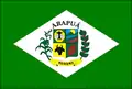 Bandeira de Arapuá