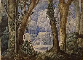 Selva brasileira, aquarela, acervo do Museu Júlio de Castilhos