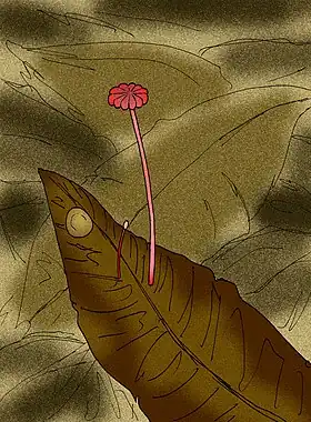 Reconstrução artística