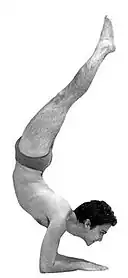 Ardha Vrishkásana Invertida sobre os braços