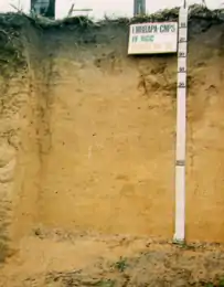 Argissolo Amarelo (SIBCS, 2018)