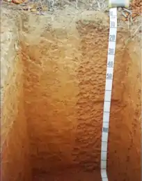 Argissolo Vermelho-Amarelo (SIBCS, 2018)