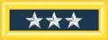 EUA:Lieutenant general