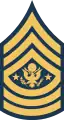 Exército dos EUA:Sergeant-Major of the Army
