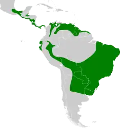 Distribuição geográfica da Coruja orelhuda