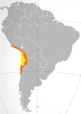 Mapa do Atacama. A área geralmente definida como o Atacama está em amarelo. Em laranja estão as áreas áridas circundantes do deserto de Nazca, Altiplano, Puna de Atacama e Norte Chico.