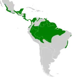 Distribuição do capitão-de-saíra-amarelo