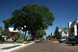 Avenida Brasil