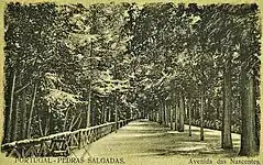 Avenida das Nascentes.