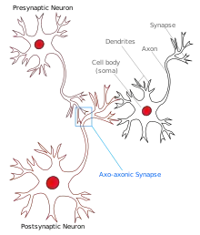 Representação da sinapse neuronal