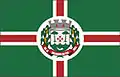 Bandeira de Salvador do Sul