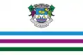Bandeira de Caldas
