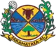 Brasão de armas de Jaramataia