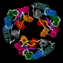 O trímero da Bacteriorodopsina com uma molécula de retina em cada subunidade vista do lado extracelular CE (PDB ID: 1X0S.
