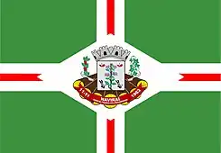 Bandeira de Naviraí