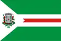 Bandeira de Santa Cruz das Palmeiras