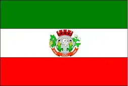 Bandeira de Iuiu