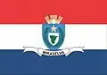 Bandeira de Miraselva