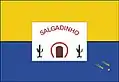 Bandeira de Salgadinho