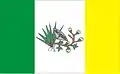 Bandeira de Picuí