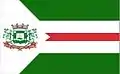 Bandeira de Nova Floresta