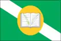Bandeira de Arari
