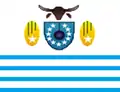 Bandeira de Aurelino Leal