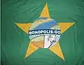 Bandeira de Bonópolis