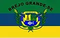 Bandeira de Brejo Grande