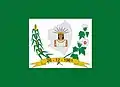 Bandeira de Cachoeira dos Índios