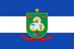 Bandeira de Campos Novos