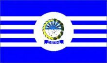 Bandeira de Capinzal