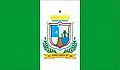 Bandeira de Capinzal do Norte