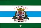 Bandeira de Capivari