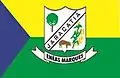 Bandeira de Enéas Marques