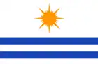 Bandeira de Palmas