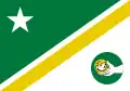 Bandeira de Pato Branco