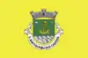 Bandeira de São Bartolomeu dos Galegos