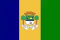 Bandeira de São José do Rio Claro