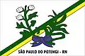 Bandeira de São Paulo do Potengi