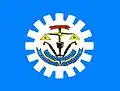 Bandeira de Santa Rita do Araguaia