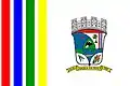 Bandeira de Várzea da Roça