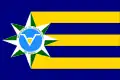 Bandeira de Valparaíso de Goiás