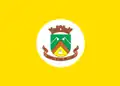 Bandeira de Santa Rosa de Lima