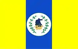 Bandeira de Itapipoca