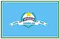 Bandeira de Ipiguá