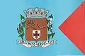 Bandeira de Mato Verde