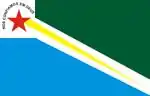 Bandeira de Tucuruí
